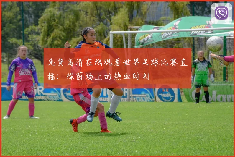 免费高清在线观看世界足球比赛直播:绿茵场上的热血时刻